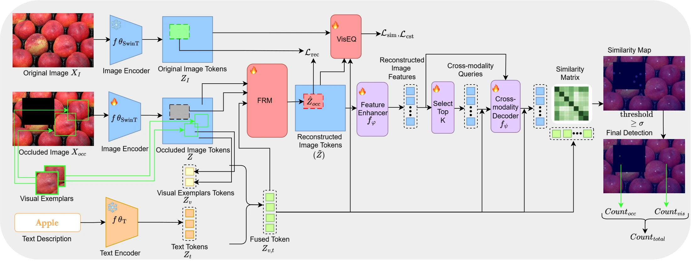 CountOCC architecture with image and text encoders, Feature Reconstruction Module, VisEQ, feature enhancer and cross-modality decoder
