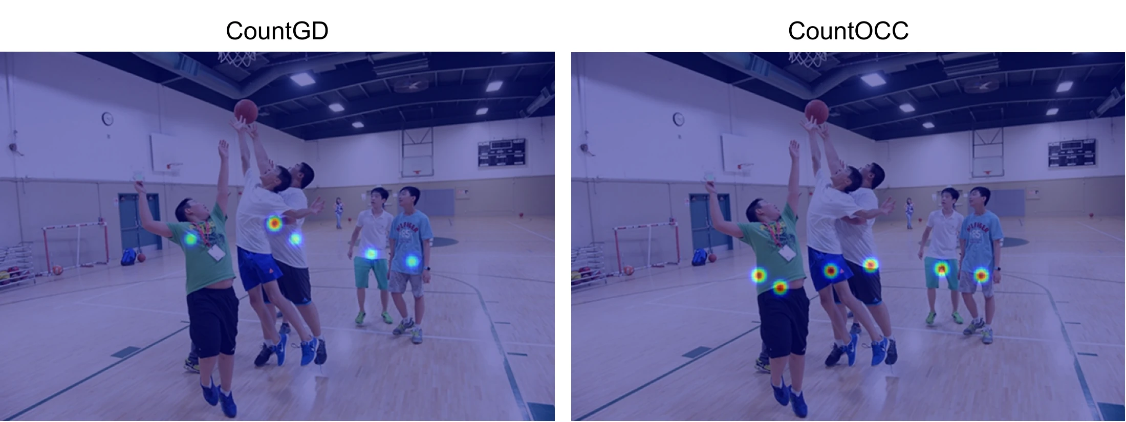 CountGD and CountOCC density responses on a CrowdHuman basketball scene